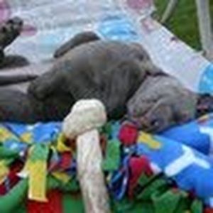 Meet your Posher, Quinn